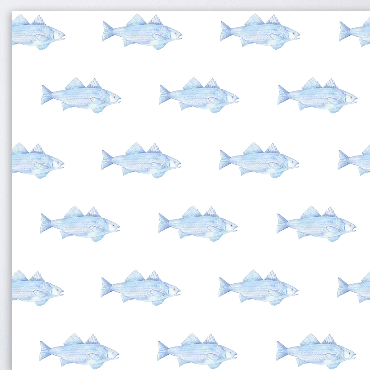 Blue Fish Gift Wrap by Sara Fitz