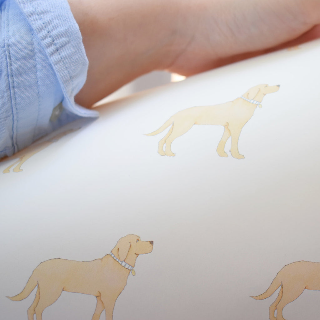 Golden Pup Wallpaper by Sara Fitz