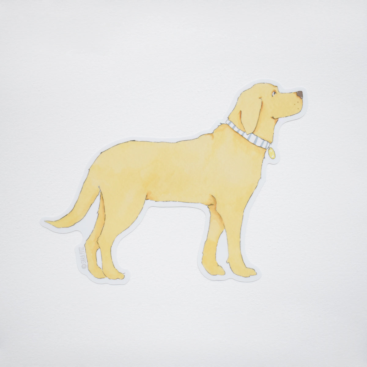 Golden Pup Sticker by Sara Fitz