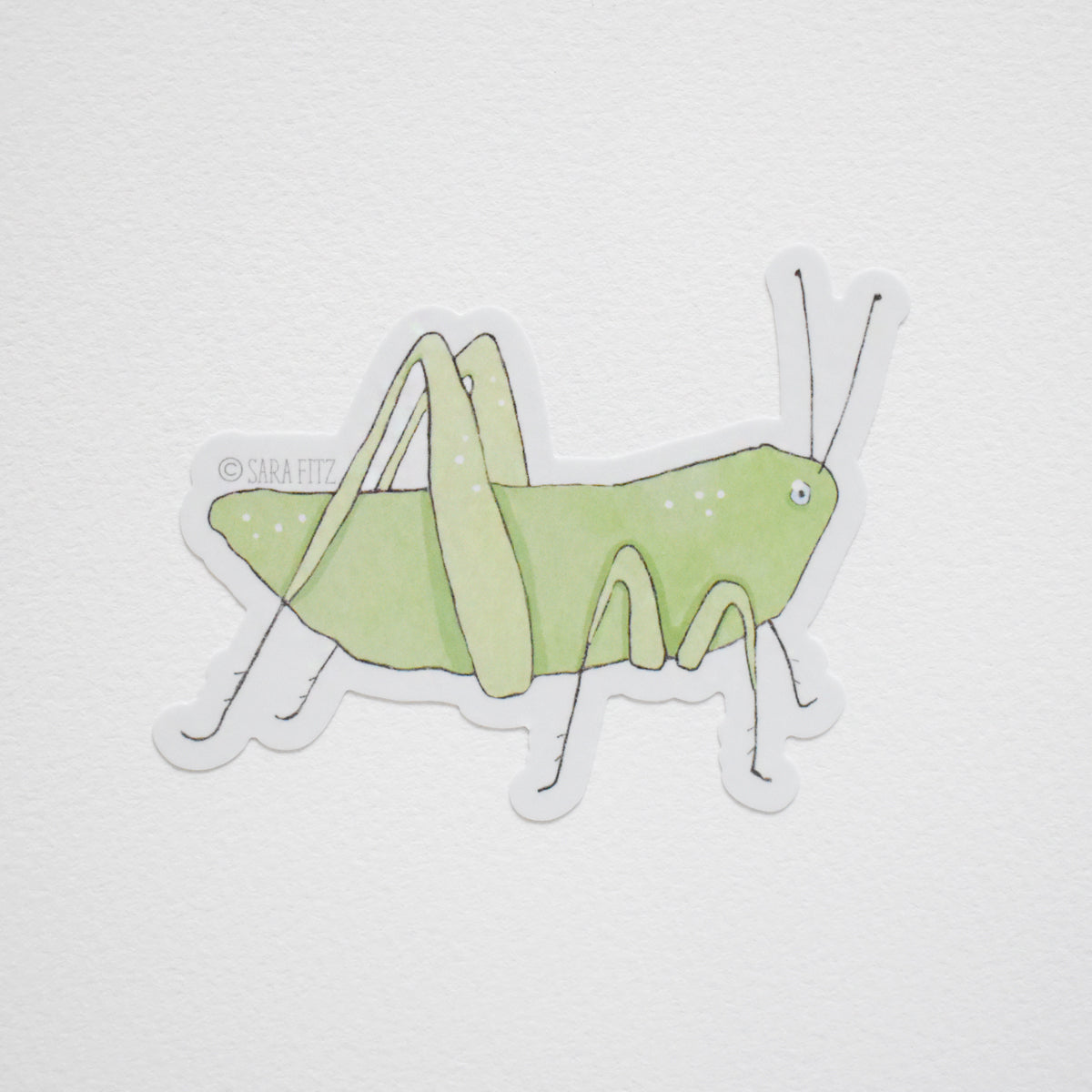 Grasshopper Sticker by Sara Fitz
