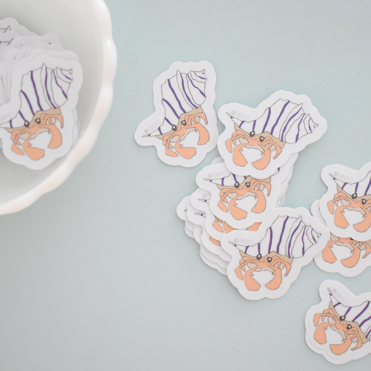 Hermit Crab Sticker by Sara Fitz