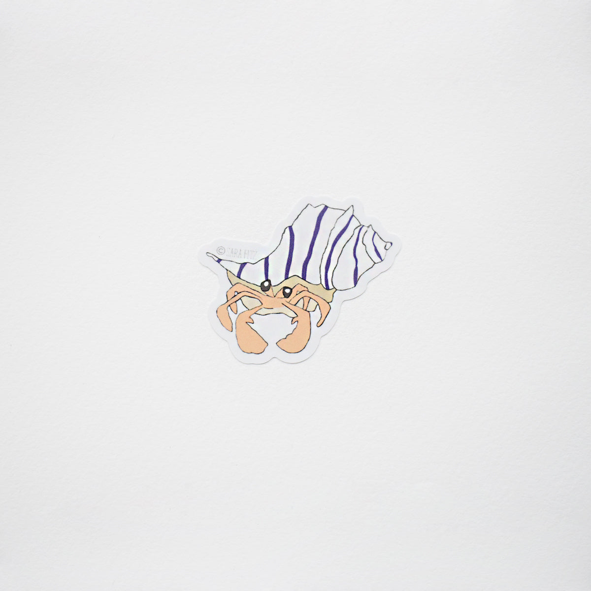 Hermit Crab Sticker by Sara Fitz