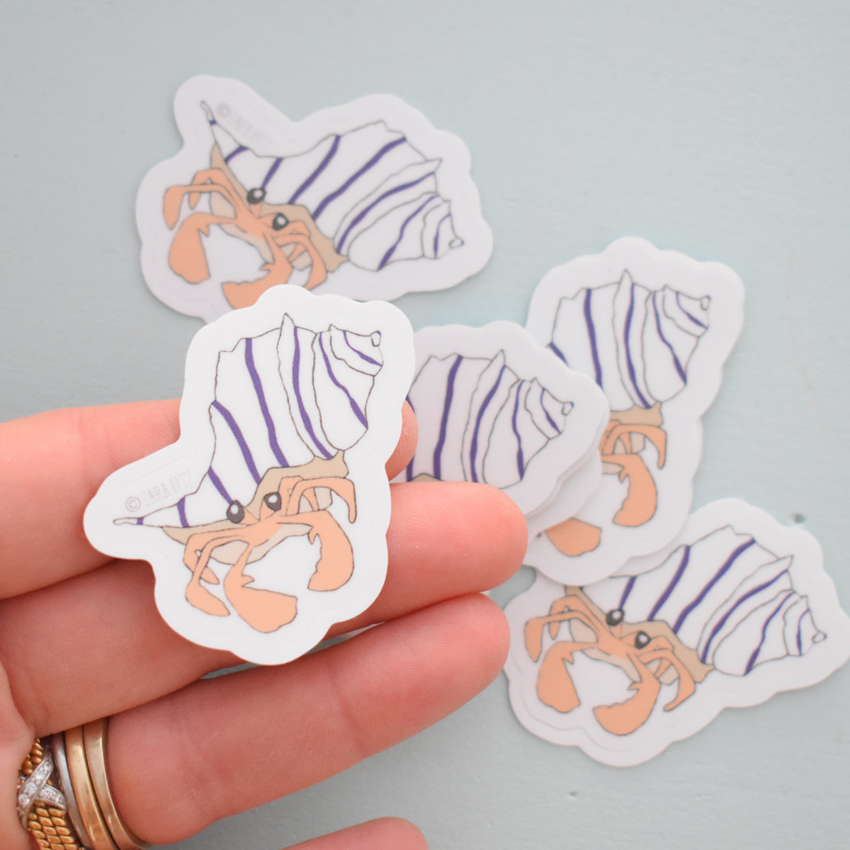 Hermit Crab Sticker by Sara Fitz