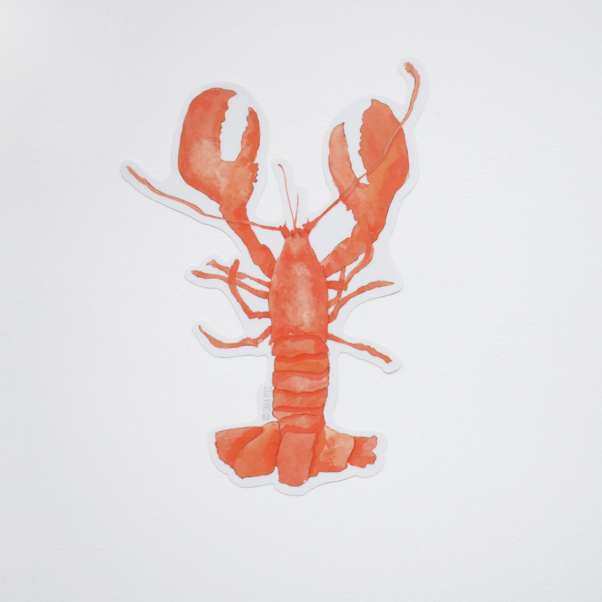 Sara Fitz Lobster Sticker Weatherproof Vinyl Made in USA