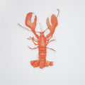 Lobster Sticker by Sara Fitz