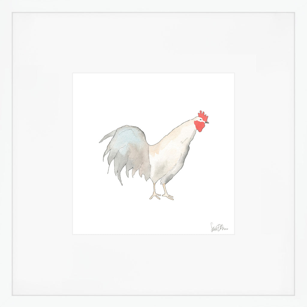 Rooster Art Print by Sara Fitz