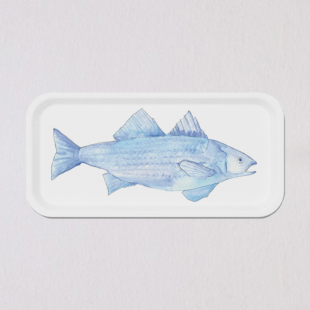 Small Blue Fish Tray by Sara Fitz