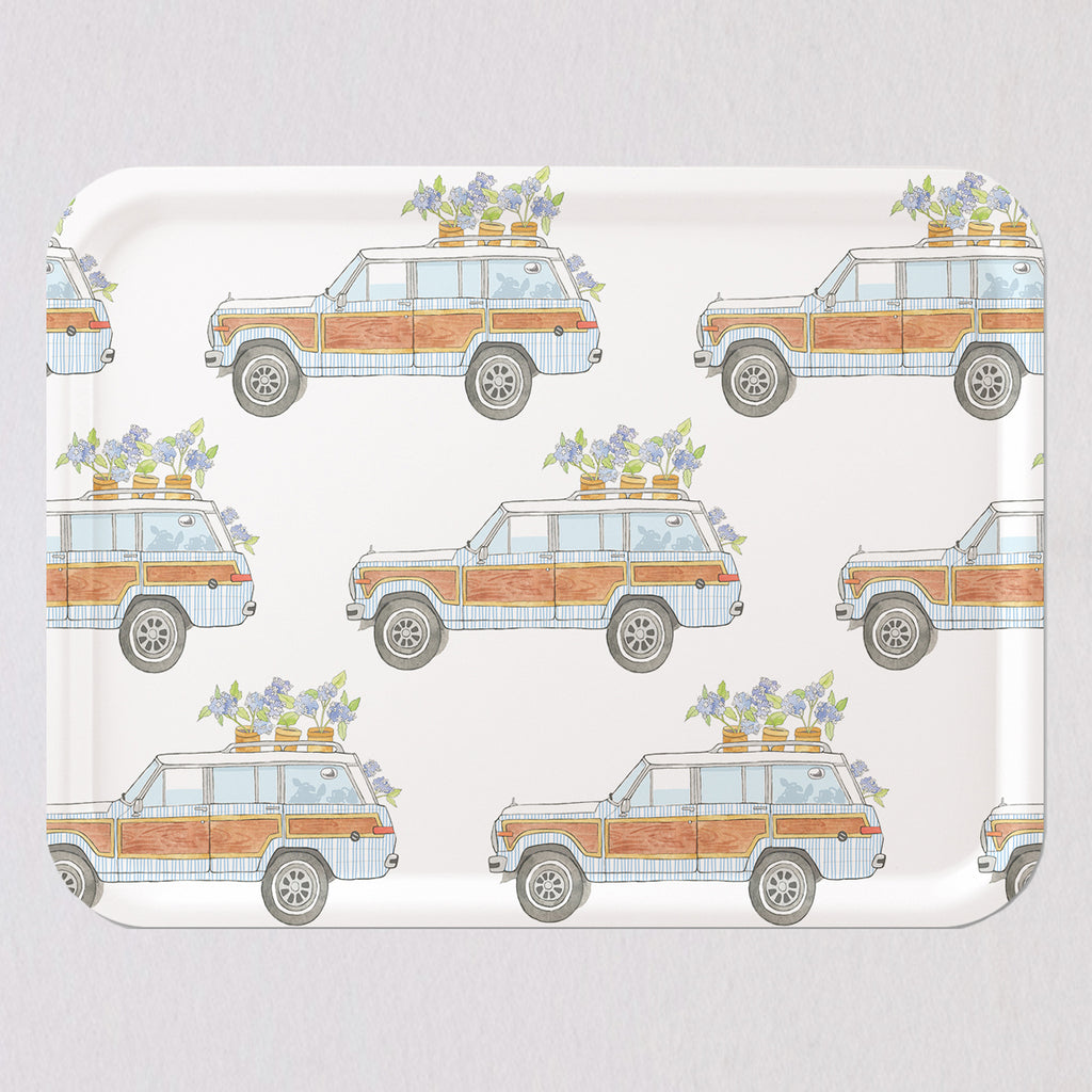 Large Seersucker Wagon Tray by Sara Fitz