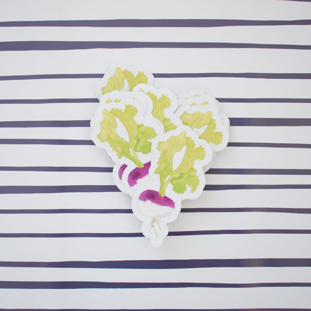 Turnip Sticker by Sara Fitz