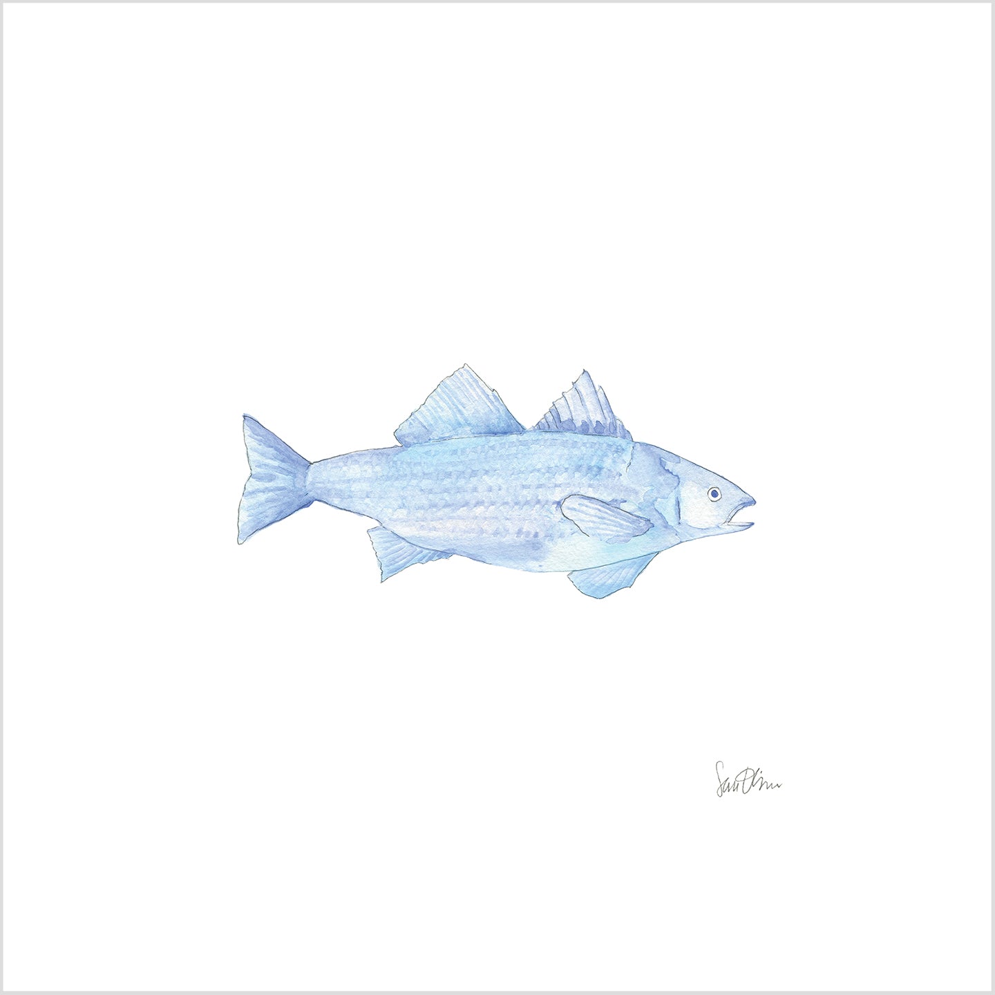 Blue Fish Art Print by Sara Fitz