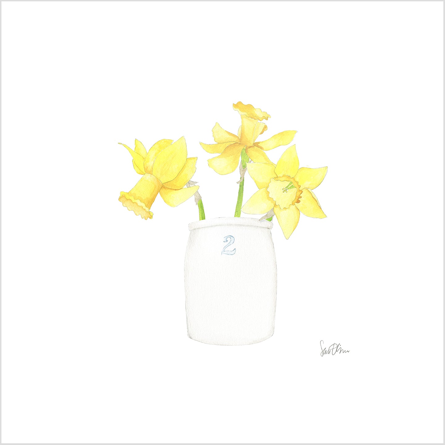 Daffodil Art Print by Sara Fitz
