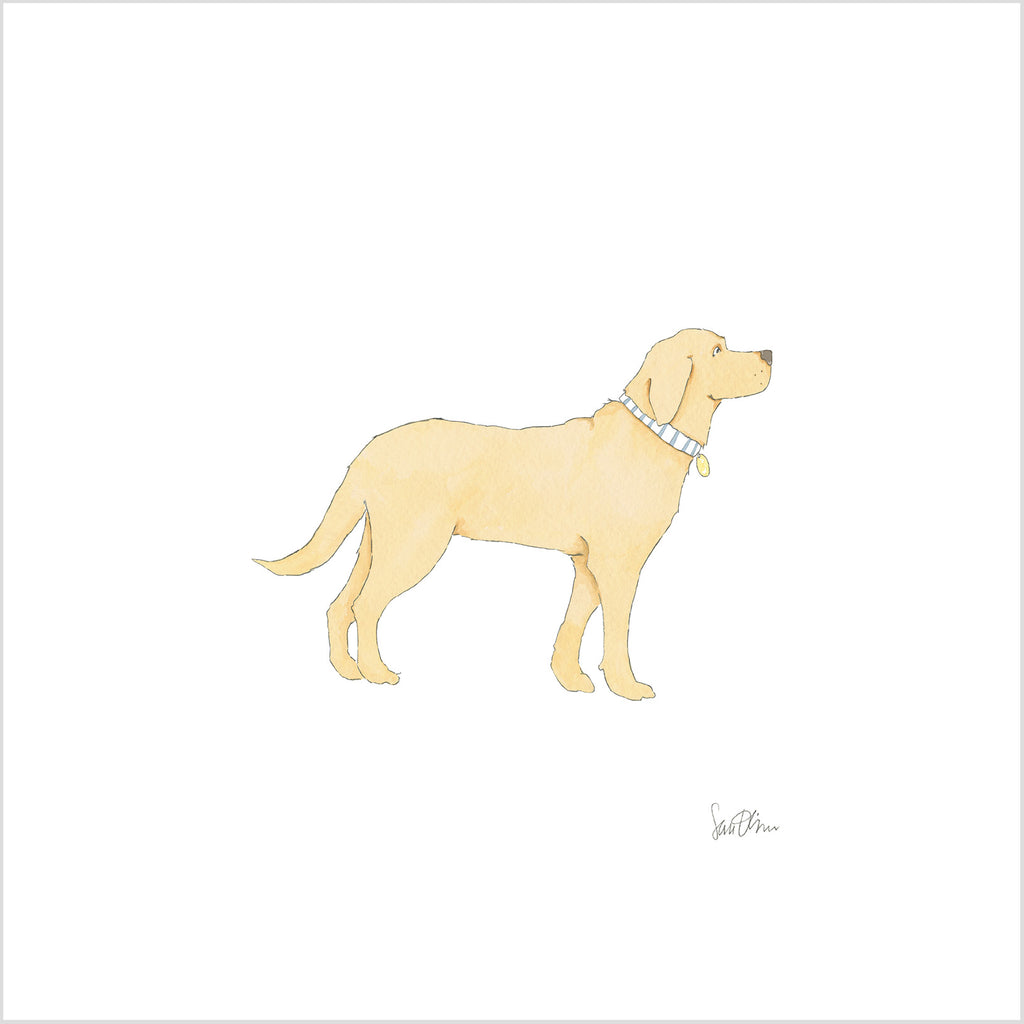 Golden Pup Art Print by Sara Fitz