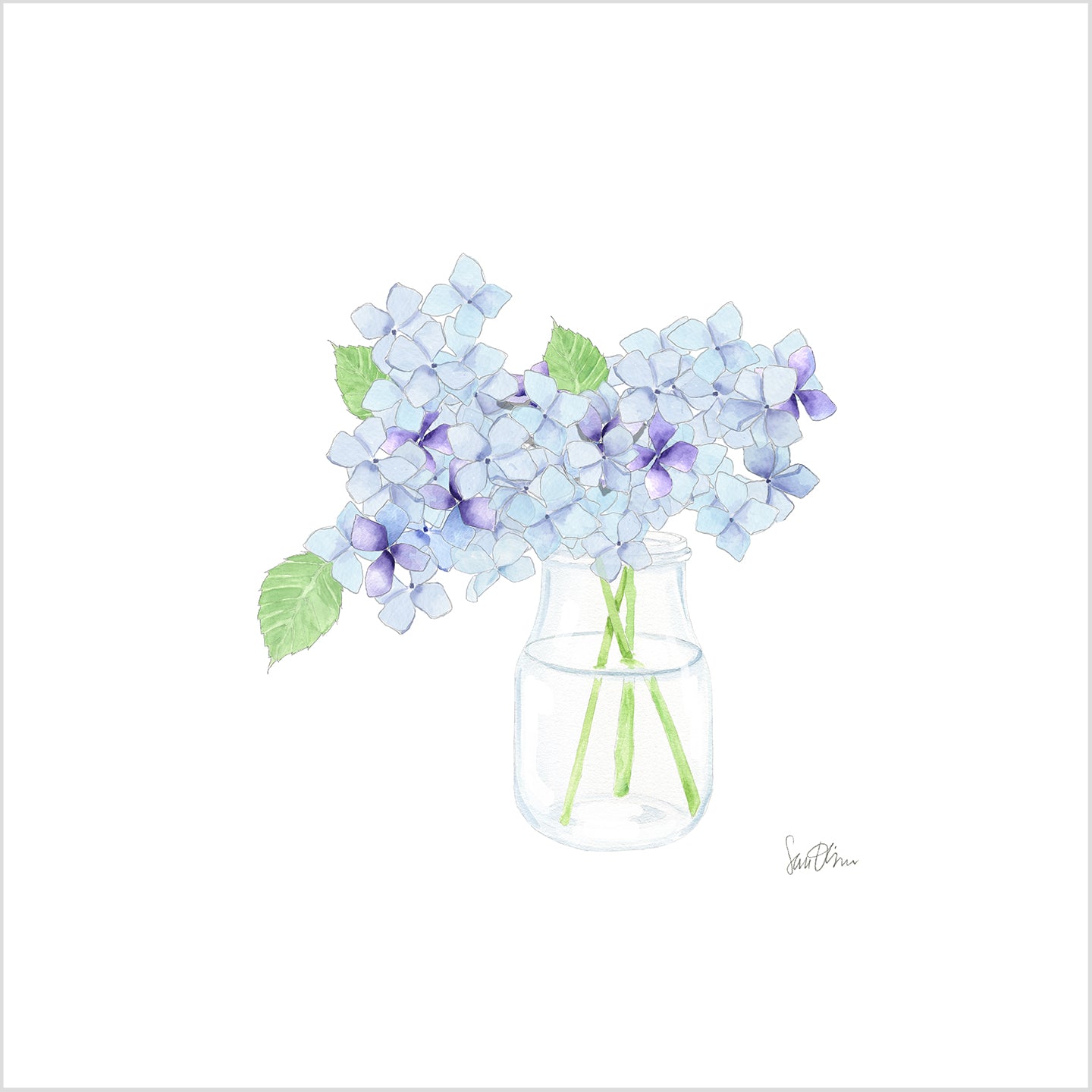 Hydrangea Art Print by Sara Fitz