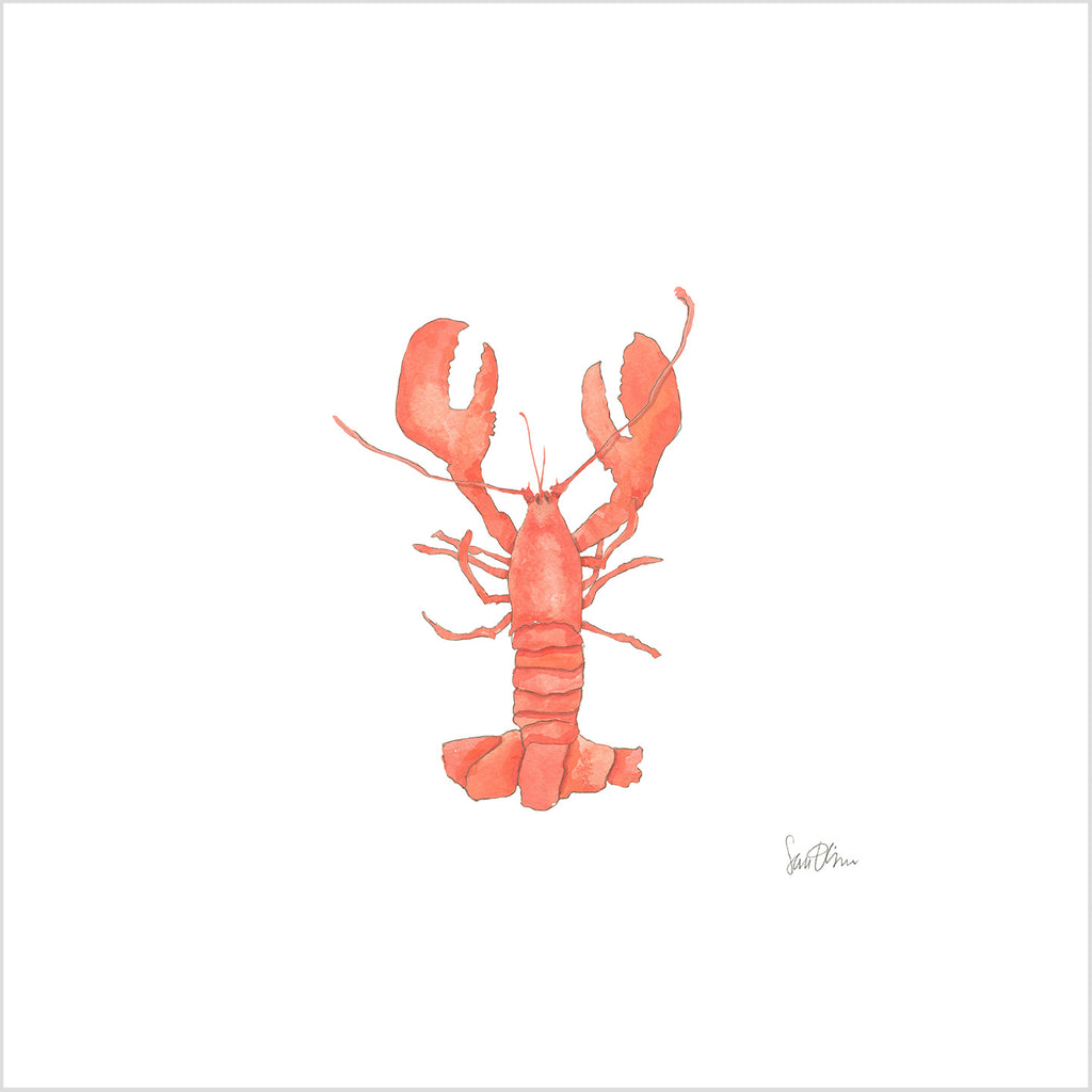 Lobster Art Print by Sara Fitz
