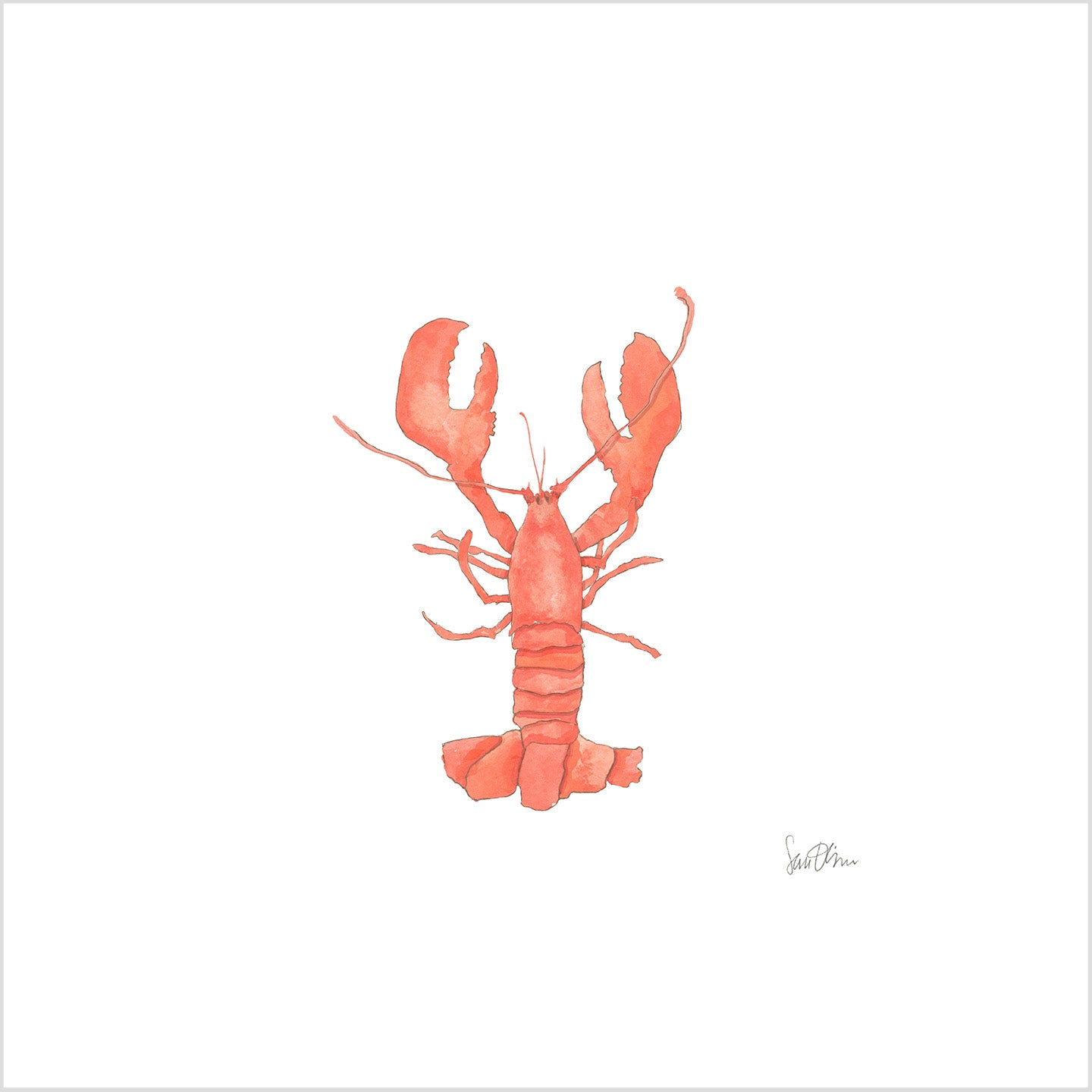 Lobster Art Print by Sara Fitz