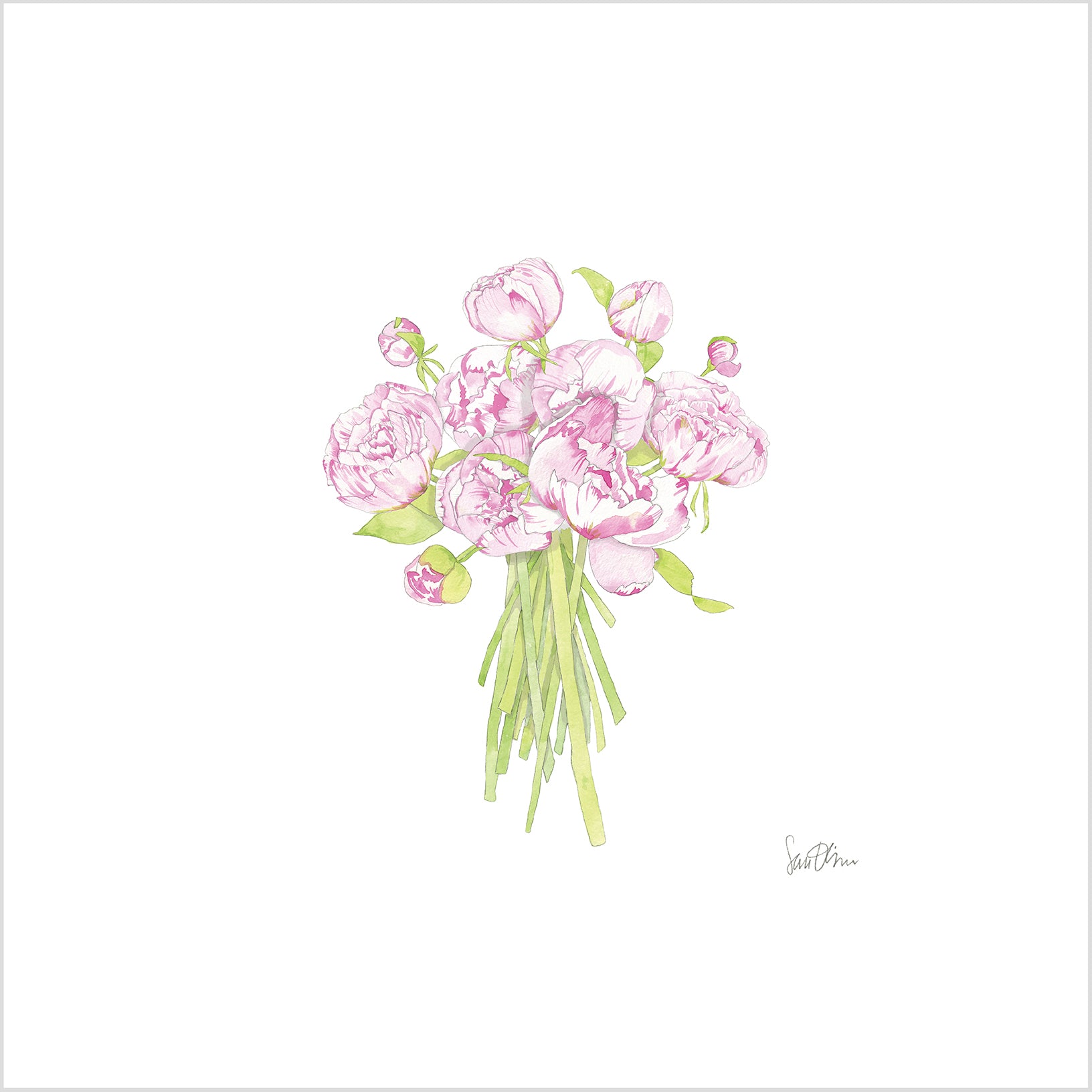 Pink Peonies Art Print by Sara Fitz
