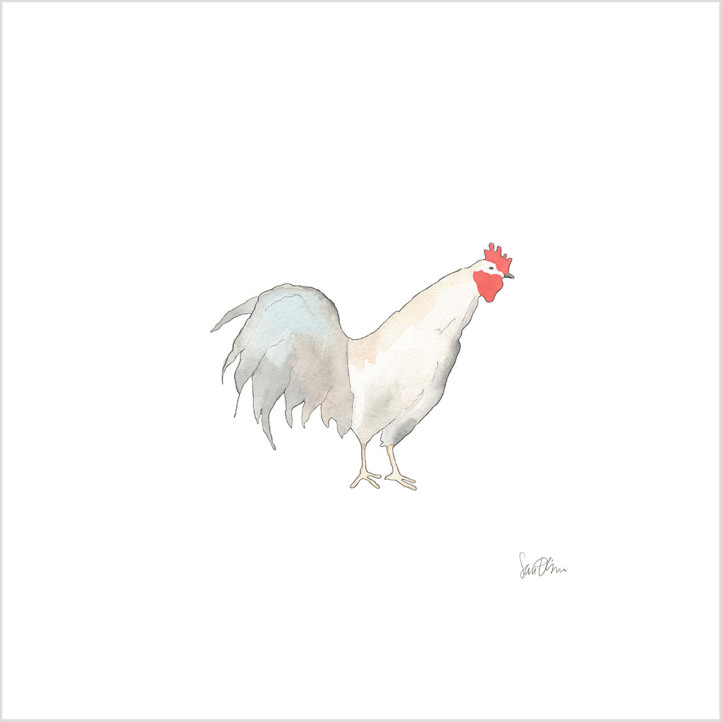 Rooster Art Print by Sara Fitz